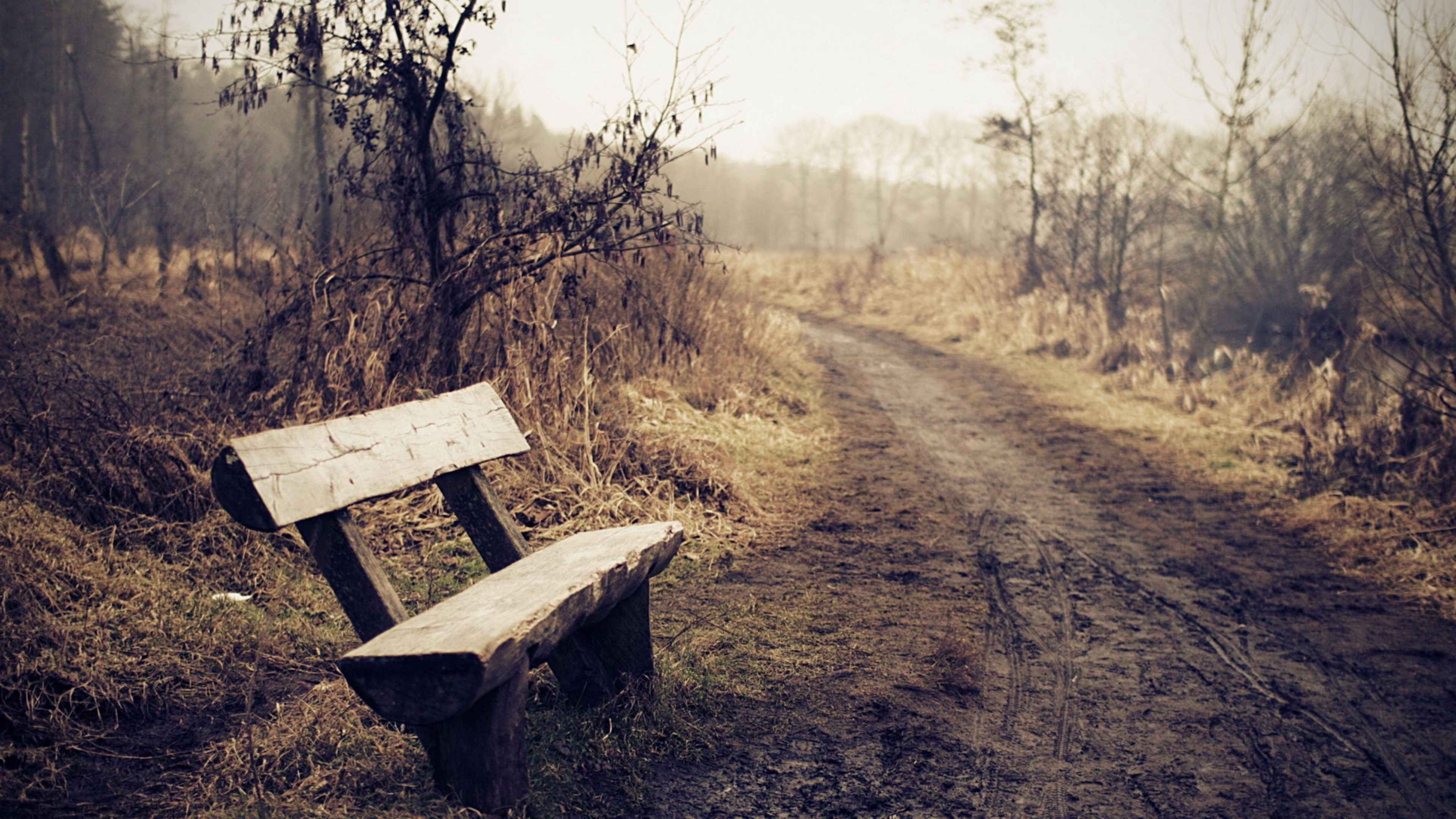 Какие грустные места. Одинокая скамейка. Скамейка в лесу. Заброшенная скамейка. Грусть природа.