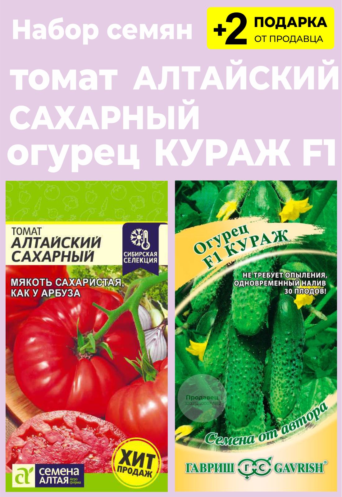 Йетина Мать Семена Алтая Купить