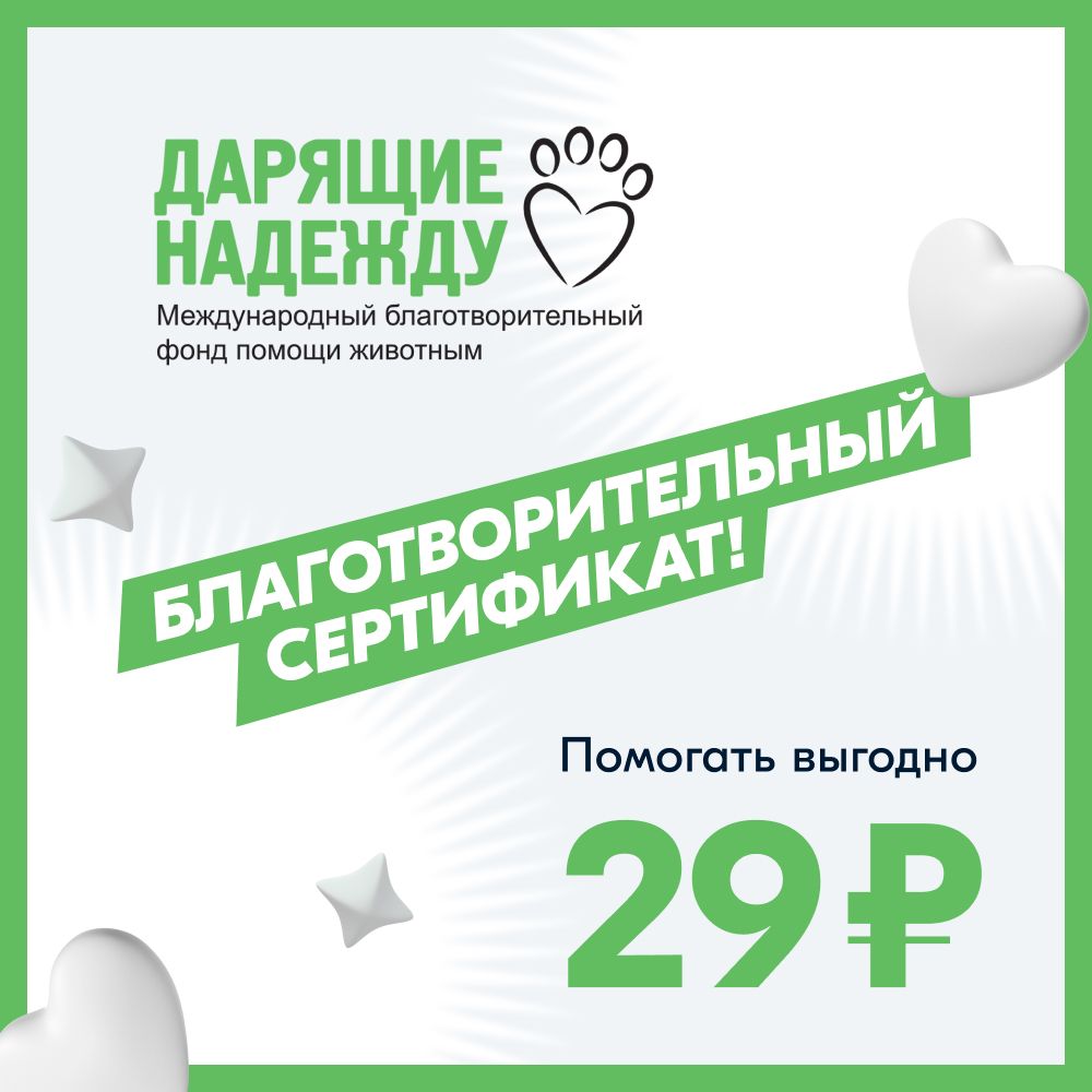 Подари надежду брянск
