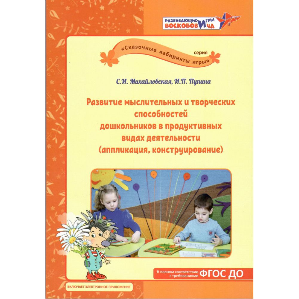 Развитие мыслительных и творческих способностей дошкольников в продуктивных  видах деятельности (аппликация, конструирование)