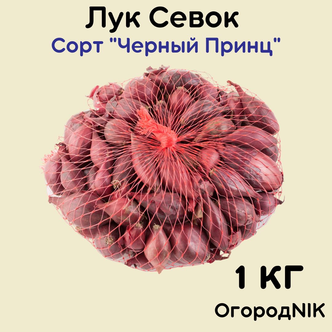 ЛукСевоксорт"Черныйпринц"