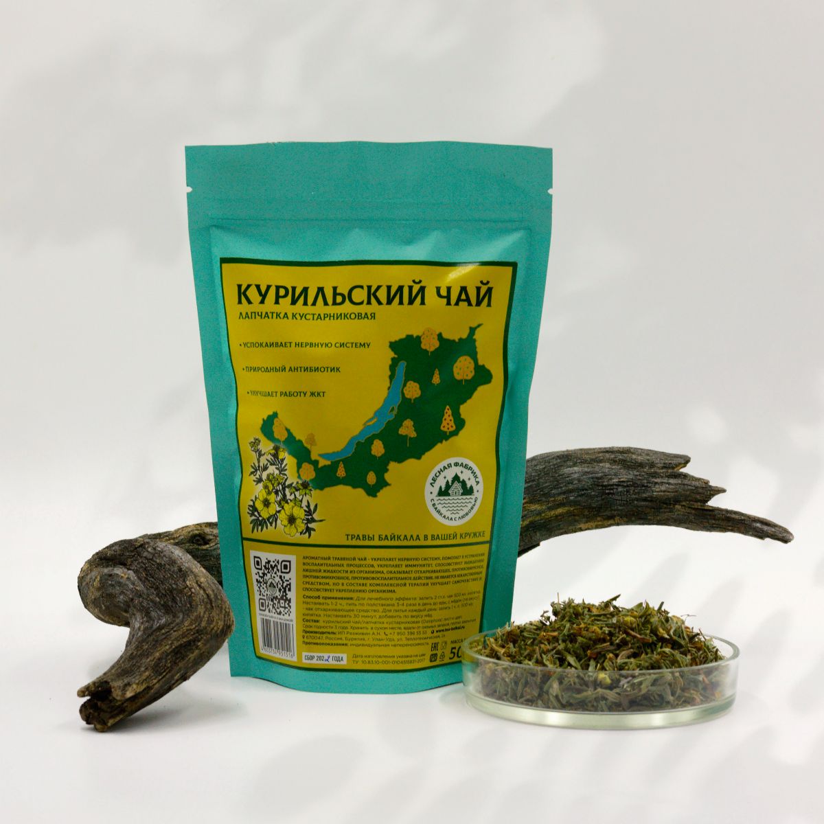 Курильский чай от давления. Курильском чае. Курильский чай травянистый. Алтайский чай. Фиточай в аптеке.