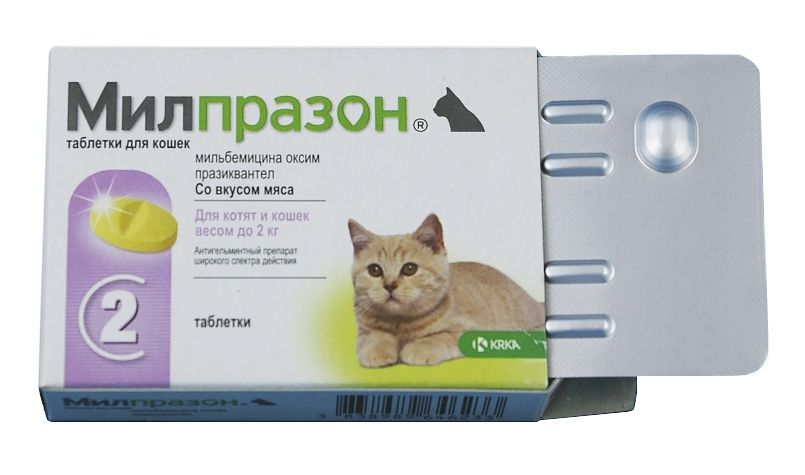 Таблетки от глистов кошкам