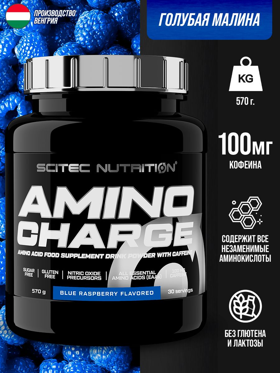 Scitec Nutrition Amino Charge, комплекс аминокислот BCAA БЦАА, Аргинин, глютамин, цитруллин кофеин аминокислоты спортивное питание, 570 гр. (Ежевика)