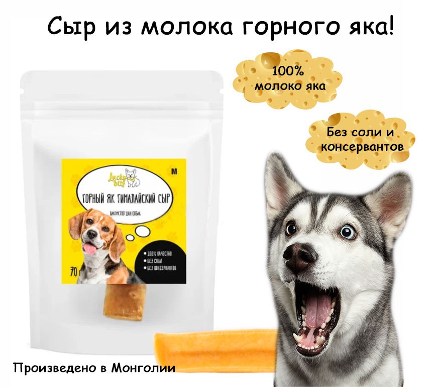 Сыр собакам можно или нет. Собака и сыр. lucky bits лакомство. собачий сыр. сыр из собачьего молока.