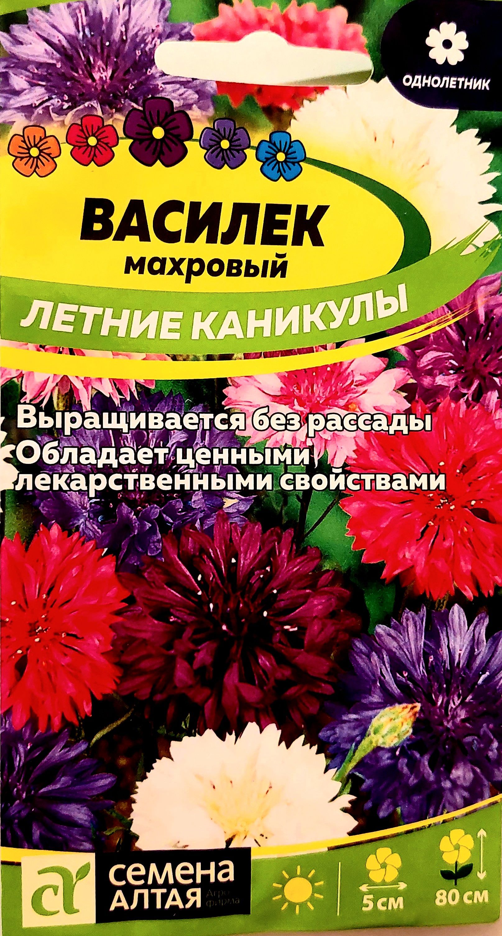 Василек однолетний. Василек махровый. Василек однолетний «Классик Фантастик». Василек махровый карлик дизайн сада.