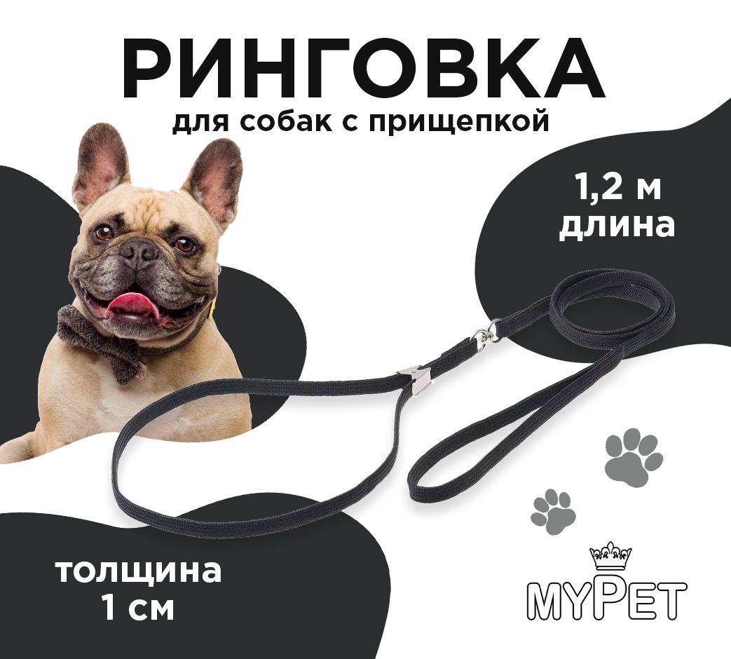 myPet Поводок для собак и кошек мелких, средних и крупных пород, ринговка с прищепкой для выставок и дрессировки, ошейник для прогулки 1,2 метра