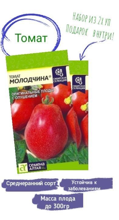 томат молодчина отзывы. томат молодчина отзывы. томат молодчина отзывы. томат молодчина отзывы. томат молодчина семена алтая.