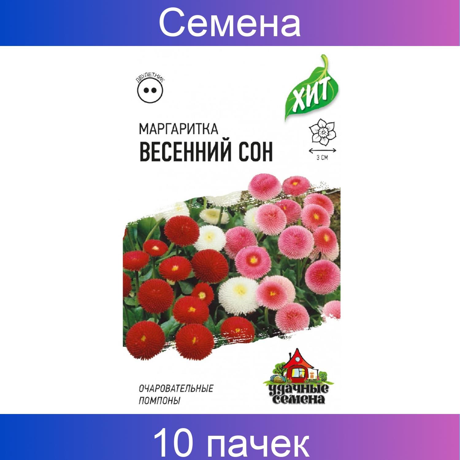 Маргаритки Семена Купить