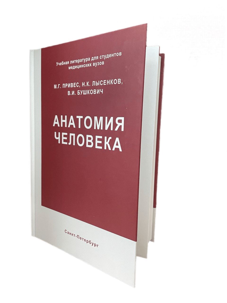 Анатомия человека. Привес М.Г. | Привес Михаил Григорьевич, Лысенков  Николай Константинович - купить с доставкой по выгодным ценам в  интернет-магазине OZON (599245624)