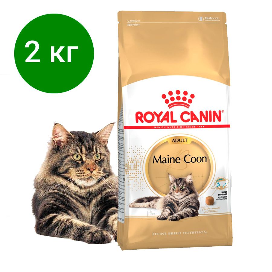 Royal Canin Maine Coon 2 Кг Купить