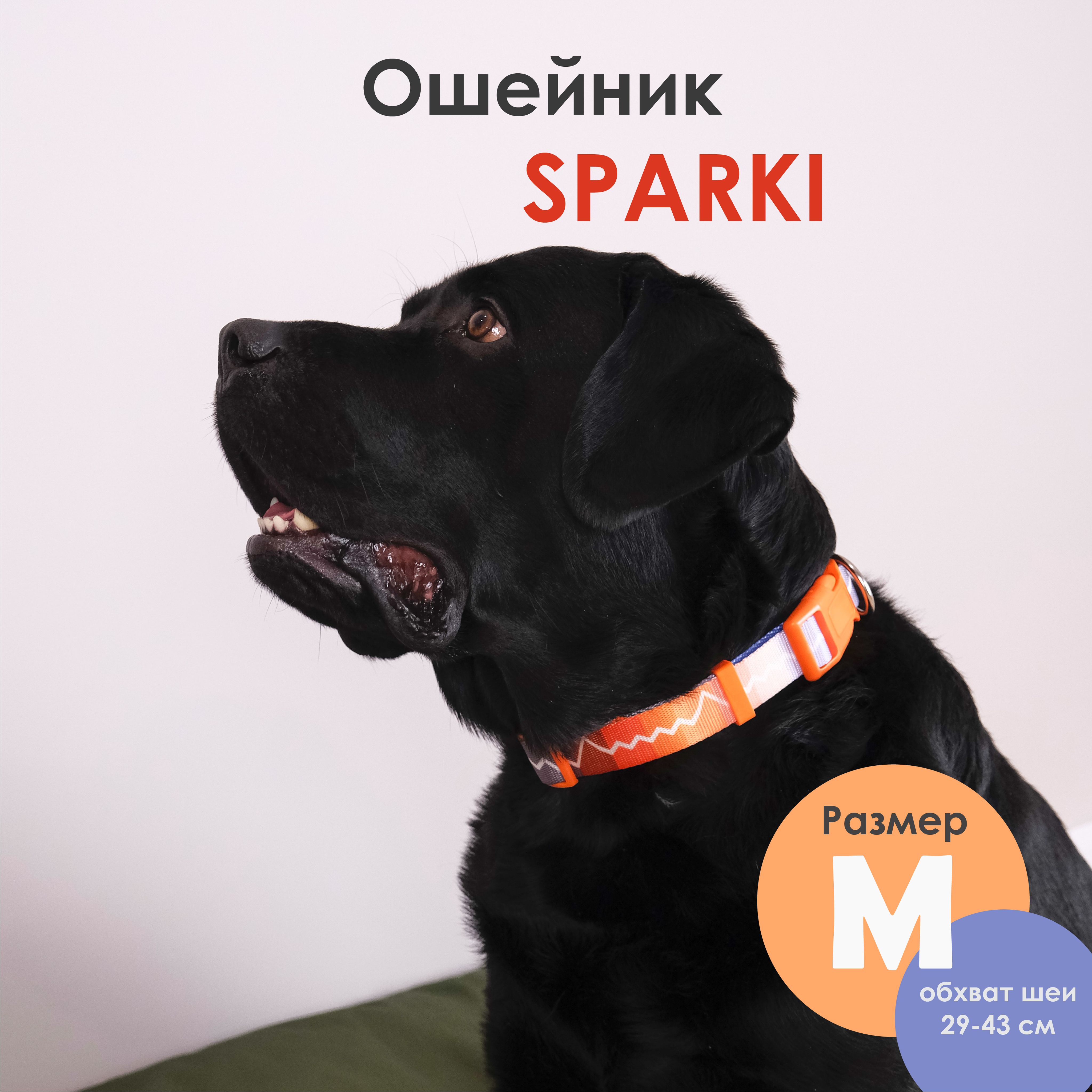 Ошейник для собак средних и крупных пород DOGGY с рисунком SPARKI, размер М  29-43 см, ширина 2 см - купить с доставкой по выгодным ценам в  интернет-магазине OZON (845692391)