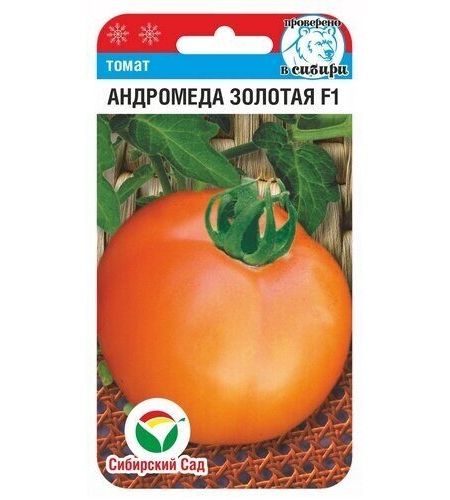 Золотая андромеда томат отзывы фото