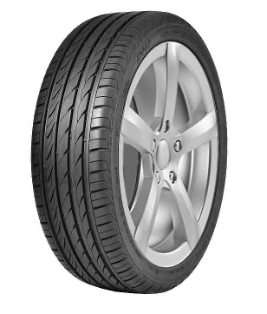 Delinte Dh2 205 55 R16 Купить