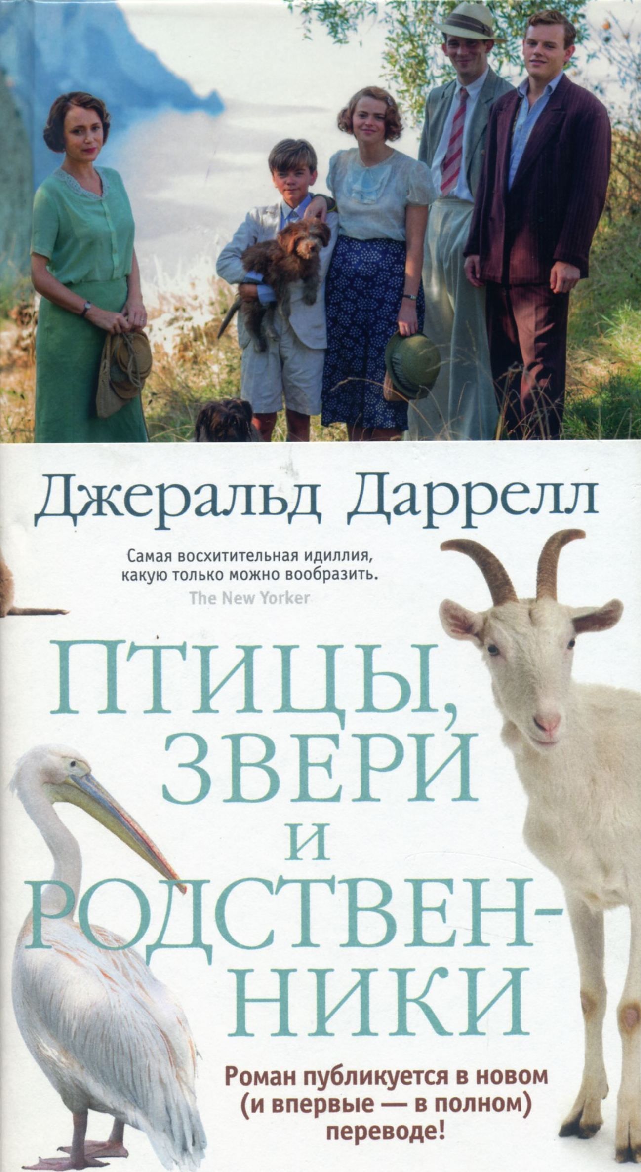 Джеральд даррелл моя семья и другие звери. Моя семья и другие звери джеральд даррелл книга. Читать книгу моя семья и другие звери. Джеральд даррелл, моя семья и другие звери, 1992г. Даррелл рассказы о животных.