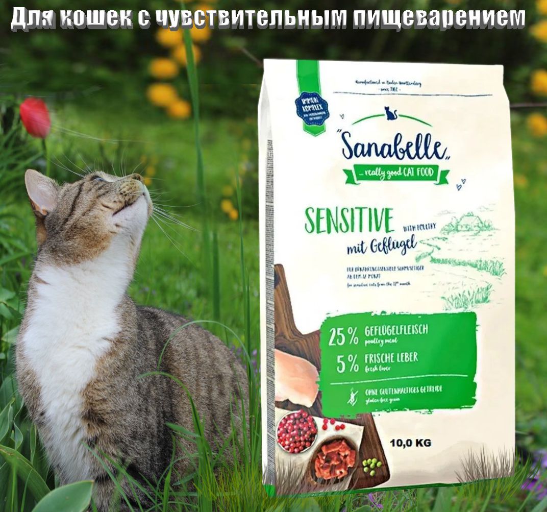 Sanabelle Grande 10 Кг Купить