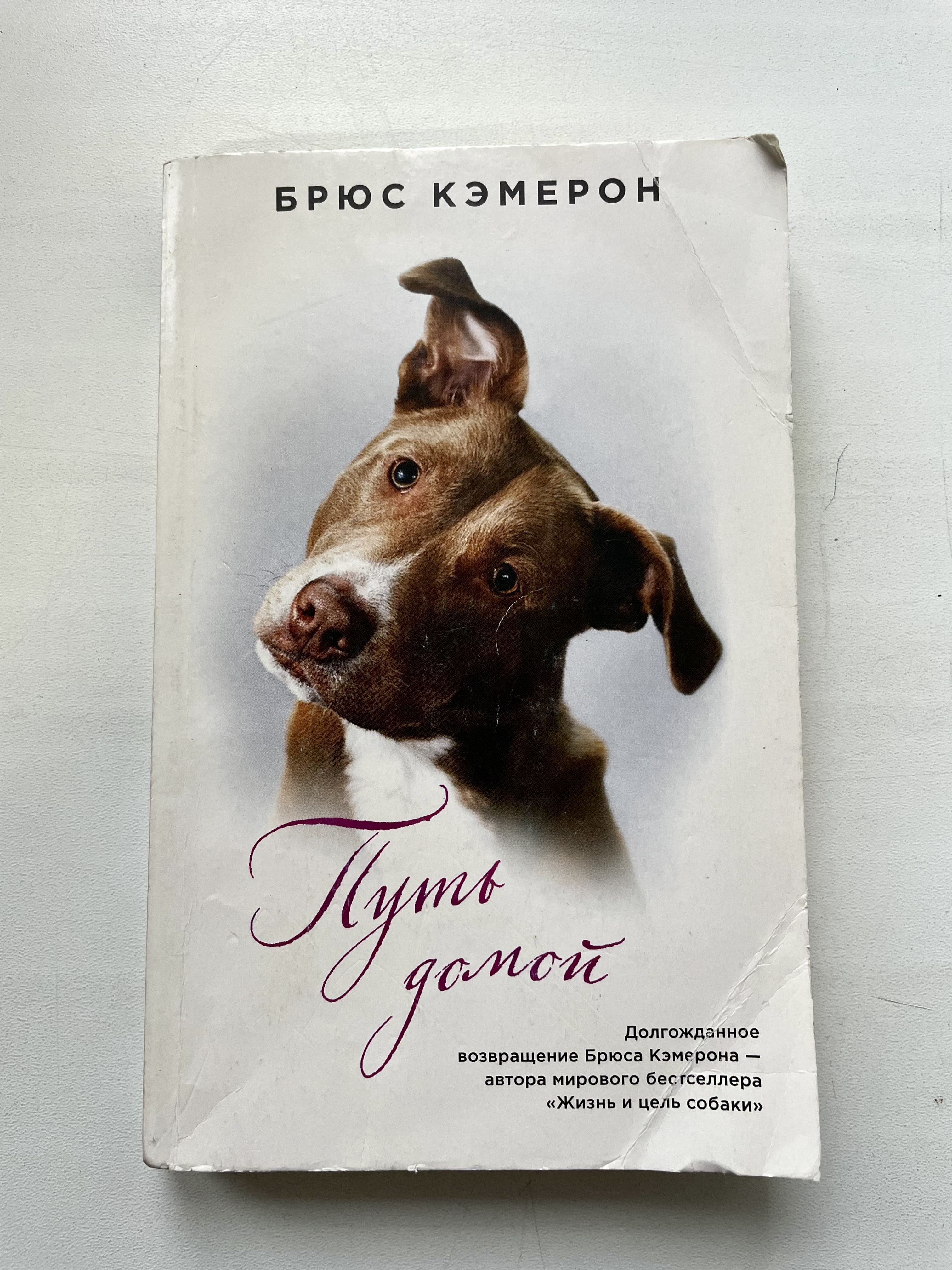 Дорога Домой Купить Книгу