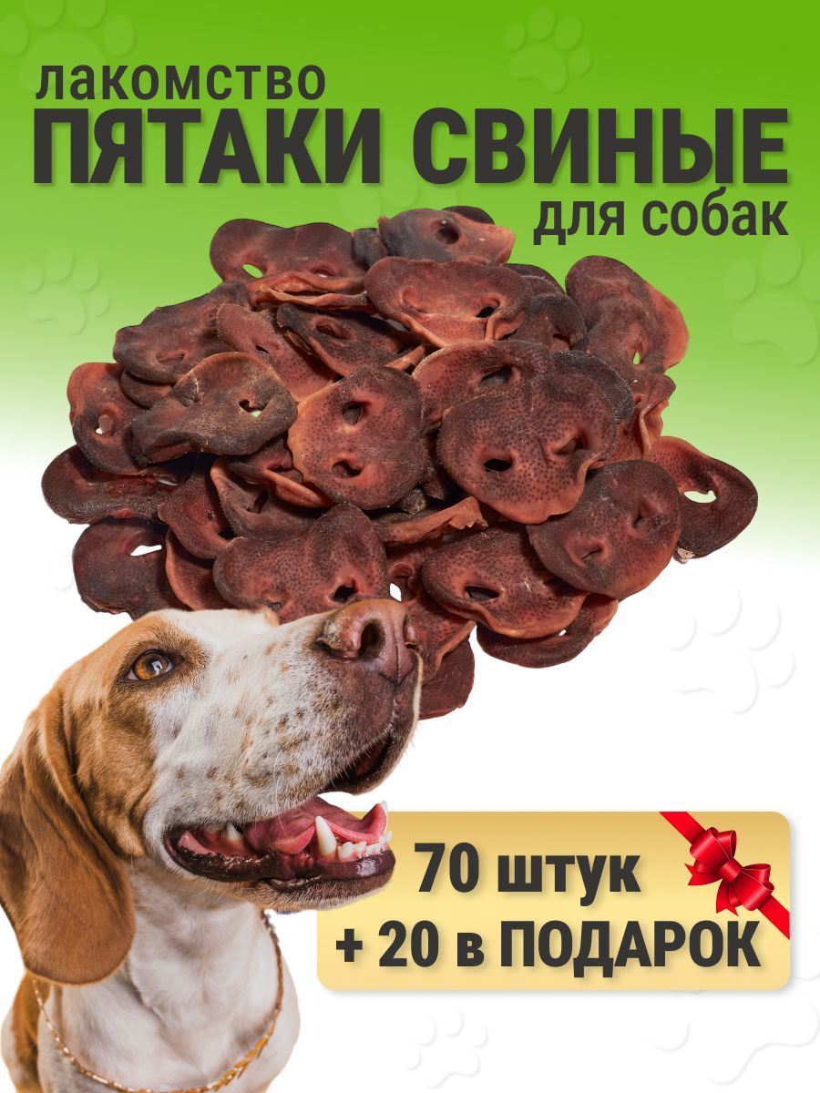 Свиные пятачки для собак. Свиные пятачки для собак