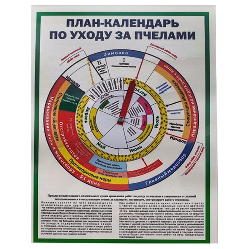 Календарь маток. Пчеловодство календарь вывода маток. Календарь вывода пчелы. План календарь по уходу за пчелами. Календарь вывода маток.