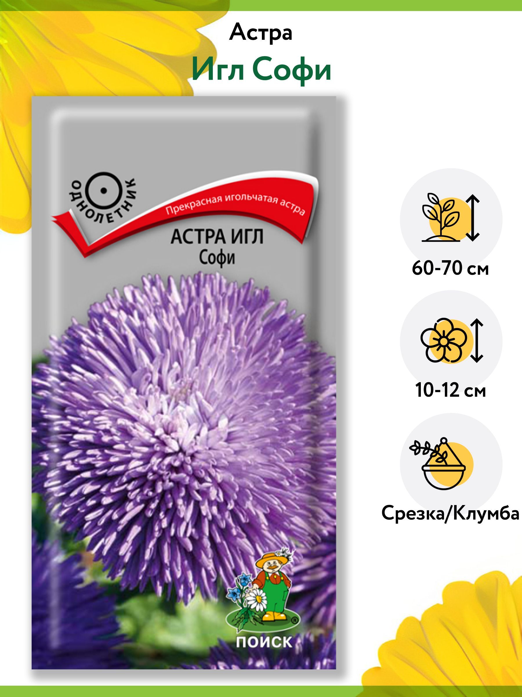 Астры однолетние ПОИСК Агрохолдинг астра цветы однолетние Поиск. - купить  по выгодным ценам в интернет-магазине OZON (876261291)