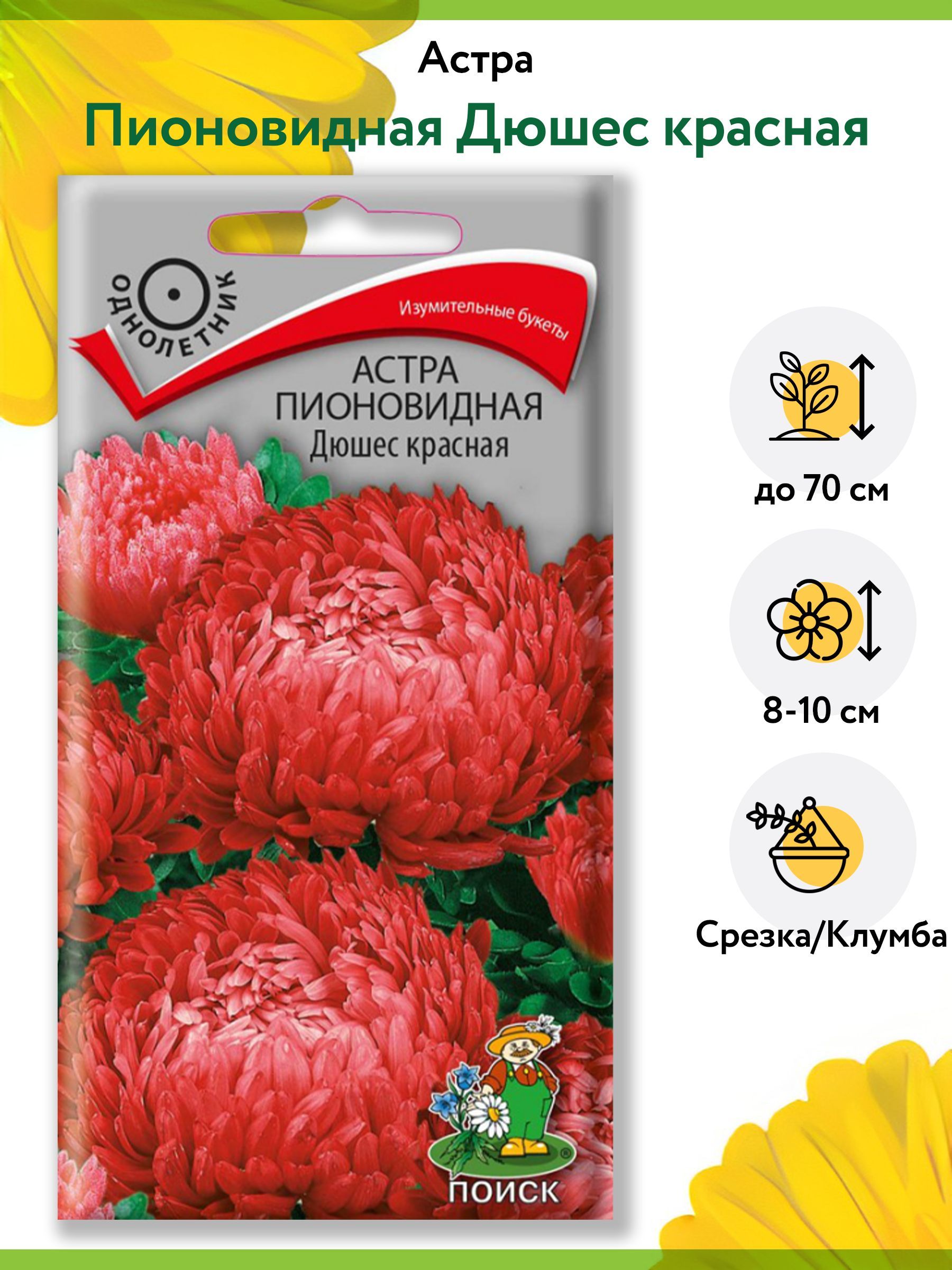 Астра Пионовидная Дюшес красная (1 упаковка - 0,3 г). Семена однолетних  цветов для сада, клумбы, срезки, букетов. Агрофирма 