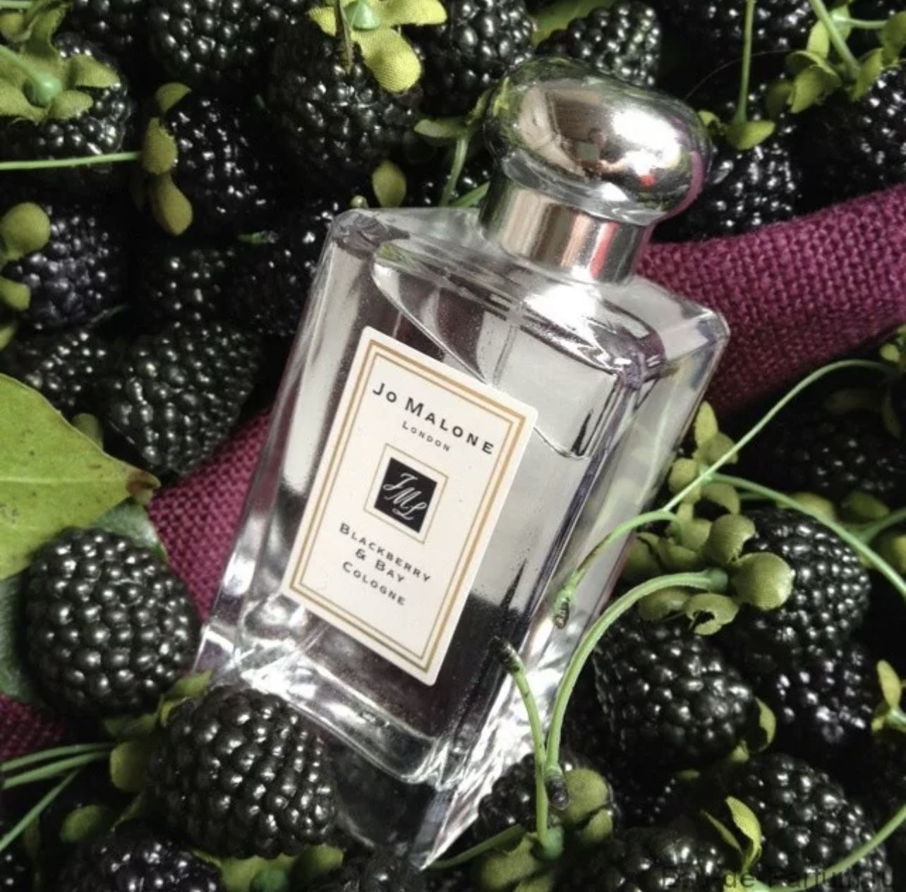 Джо малон блэкберри. Jo Malone BLACKBERRY Bay Cologne 100ml. Jo Malone BLACKBERRY & Bay 100ml. Джо Малон ежевика духи. Jo Malone духи BLACKBERRY Bay.