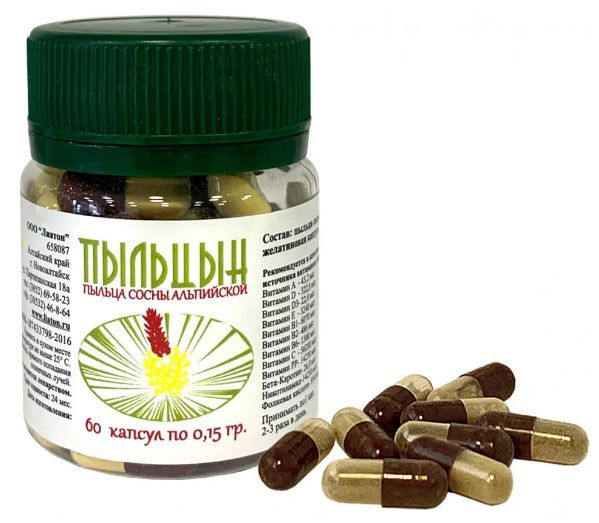 Пыльца капсулы. Пыльца сосны.