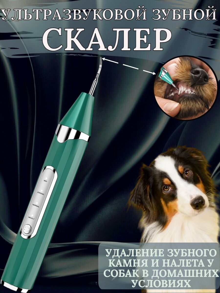 Скалер ультразвуковой электрический для удаления зубного камня у собак,  зубная щетка для ухода за полостью рта для животных по низкой цене с  доставкой в интернет-магазине OZON (829132623)