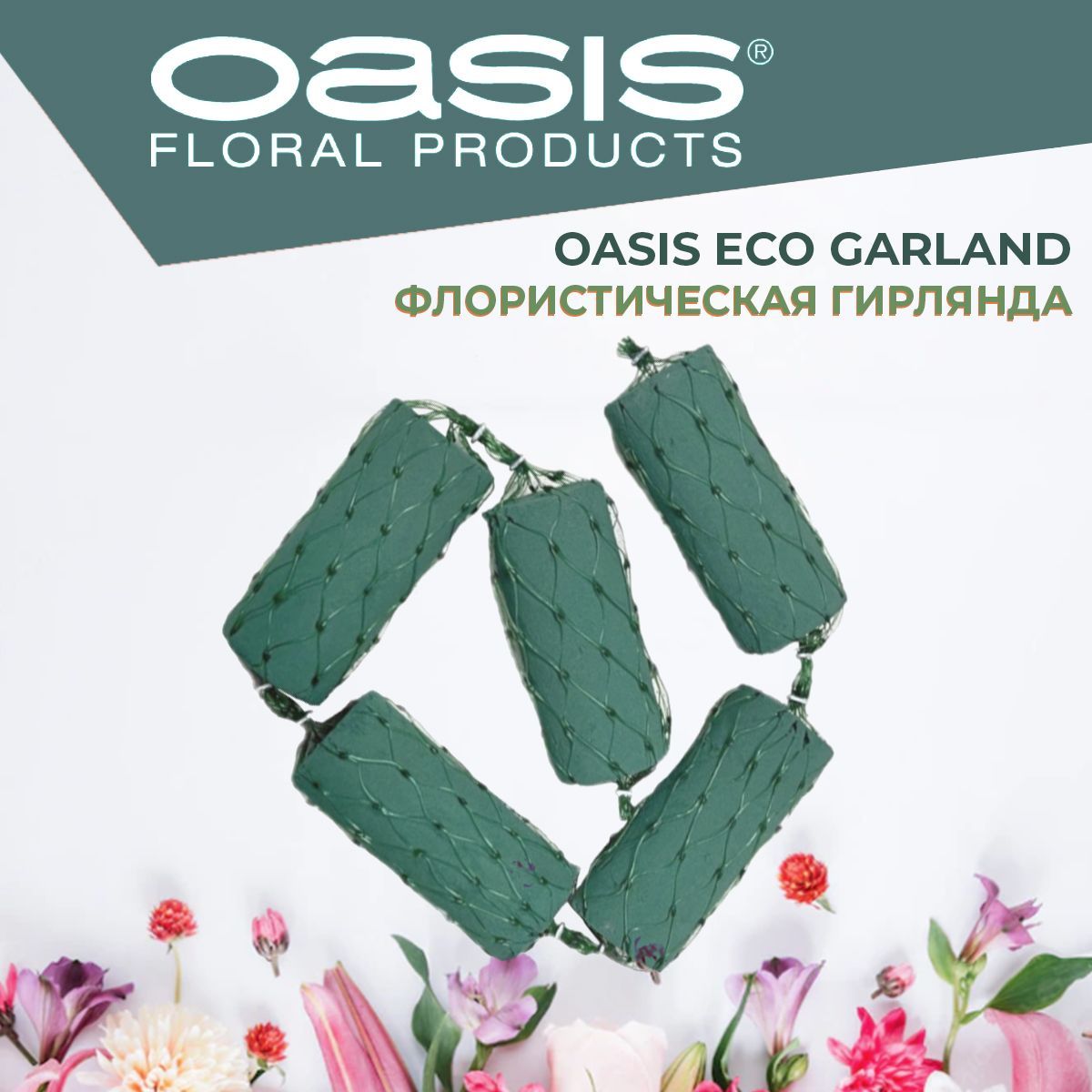 Oasis eco