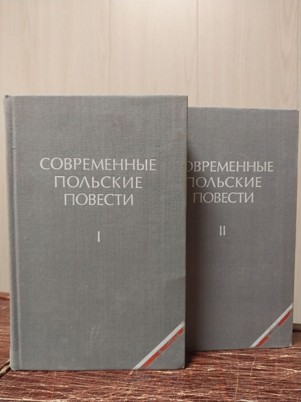 Как выглядят и ведут себя польские девушки: типичные черты