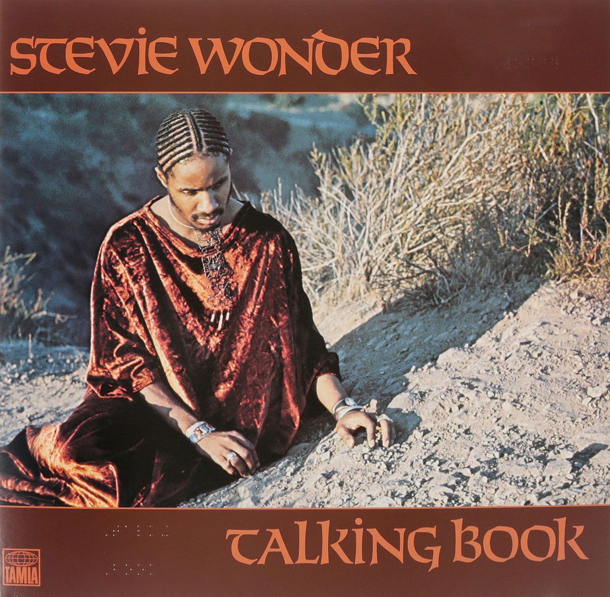 Виниловая пластинка Stevie Wonder - Talking Book - купить с доставкой по  выгодным ценам в интернет-магазине OZON (1000456225)