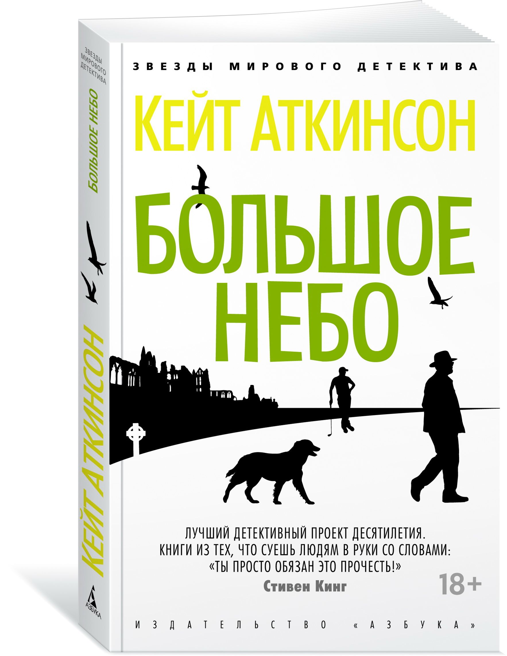 Чуть свет с собакою вдвоем. Аткинсон Кейт "большое небо". Большое небо книга. Книга большое небо Кейт. Книга чуть свет с собакою вдвоем.