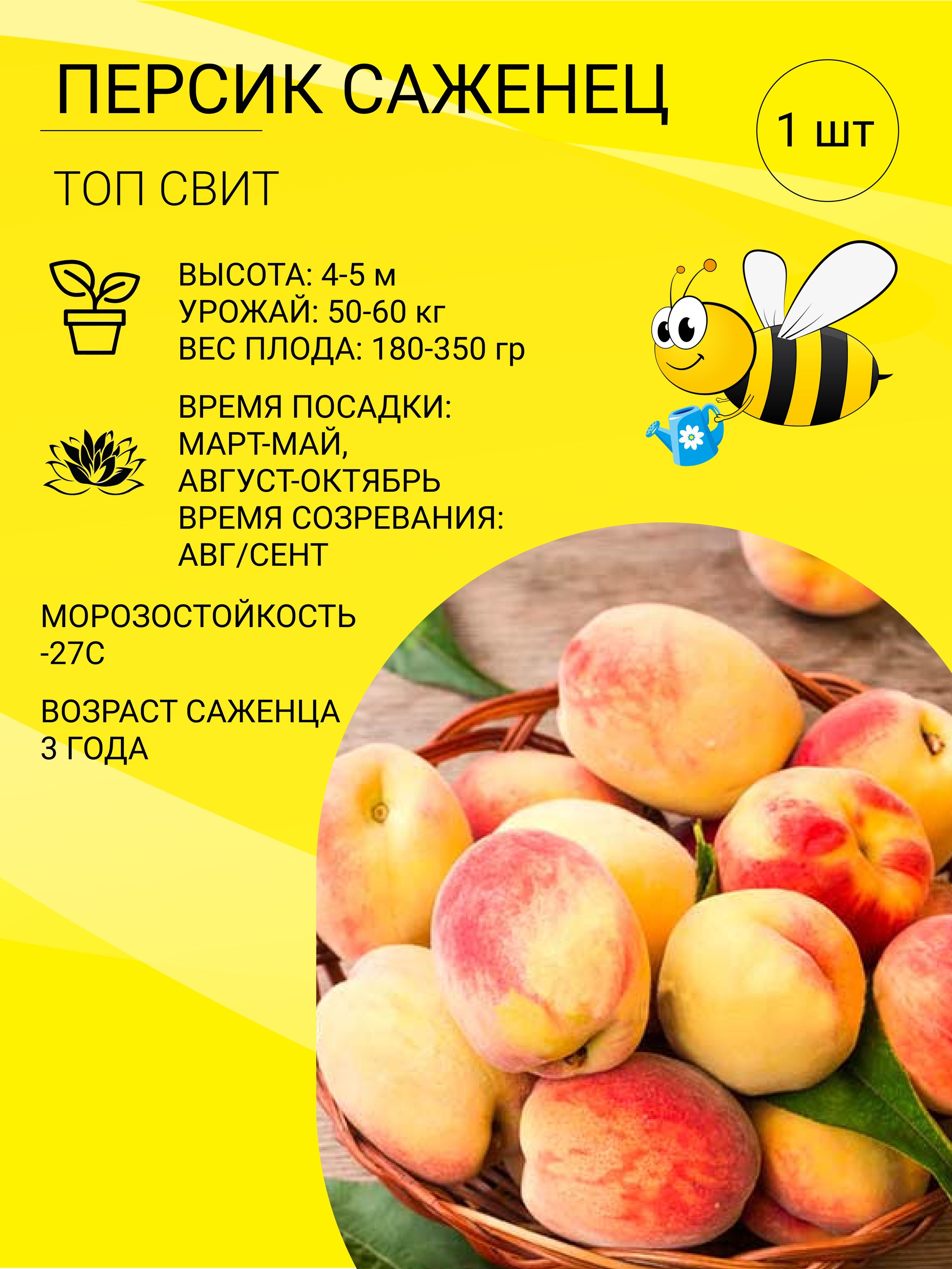 Саженцы Персика Купить В Тамбове