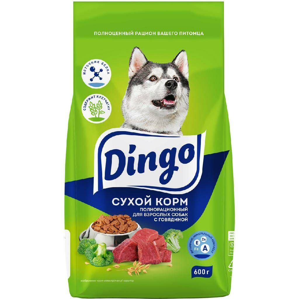 Dingo корм сухой д/взр. соб. с говядиной, пп, 600 г - купить с доставкой по  выгодным ценам в интернет-магазине OZON (1016339948)