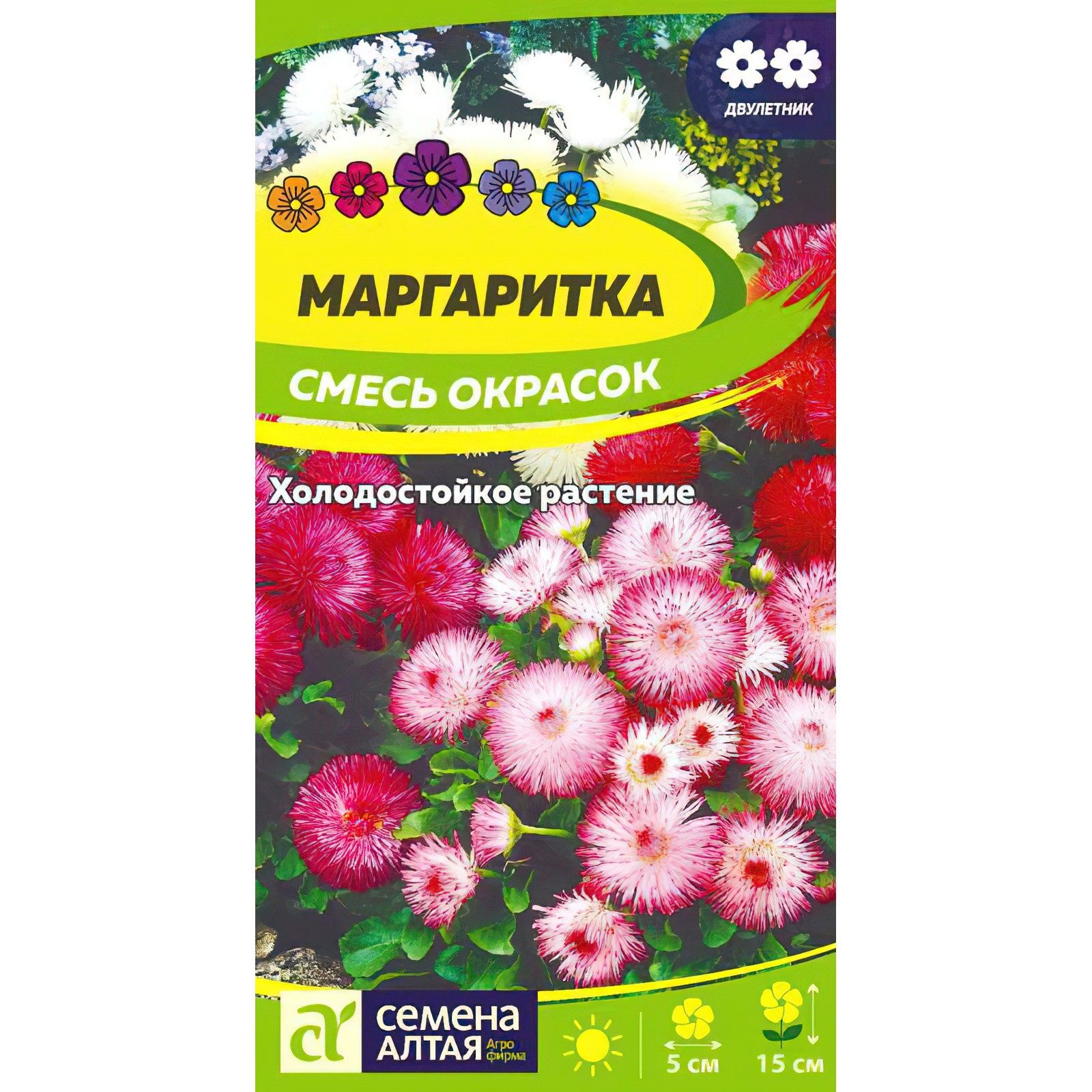 Маргаритки Семена Купить