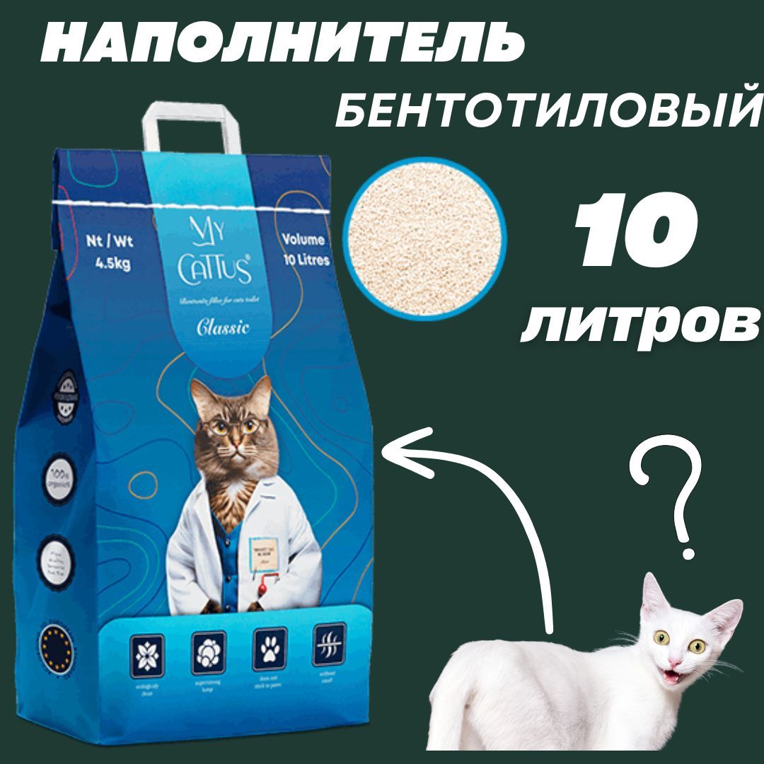 Кошка ест наполнитель для туалета камушки