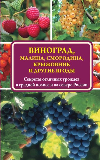 Виноград, малина, смородина, крыжовник и другие ягоды | Жвакин Виктор Владимирович | Электронная книга