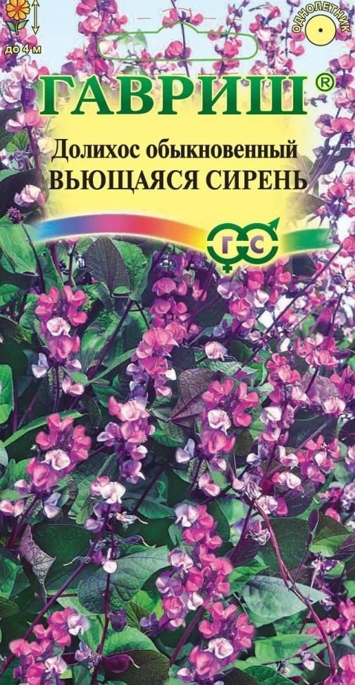 Тайны успешного разведения и заботы о этим растением