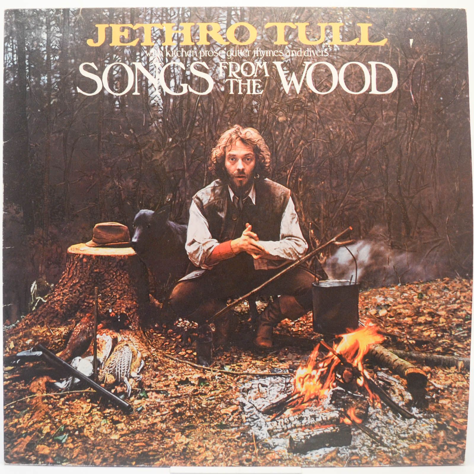 Jethro tull лучшие альбомы. Jethro Tull Songs from the Wood.