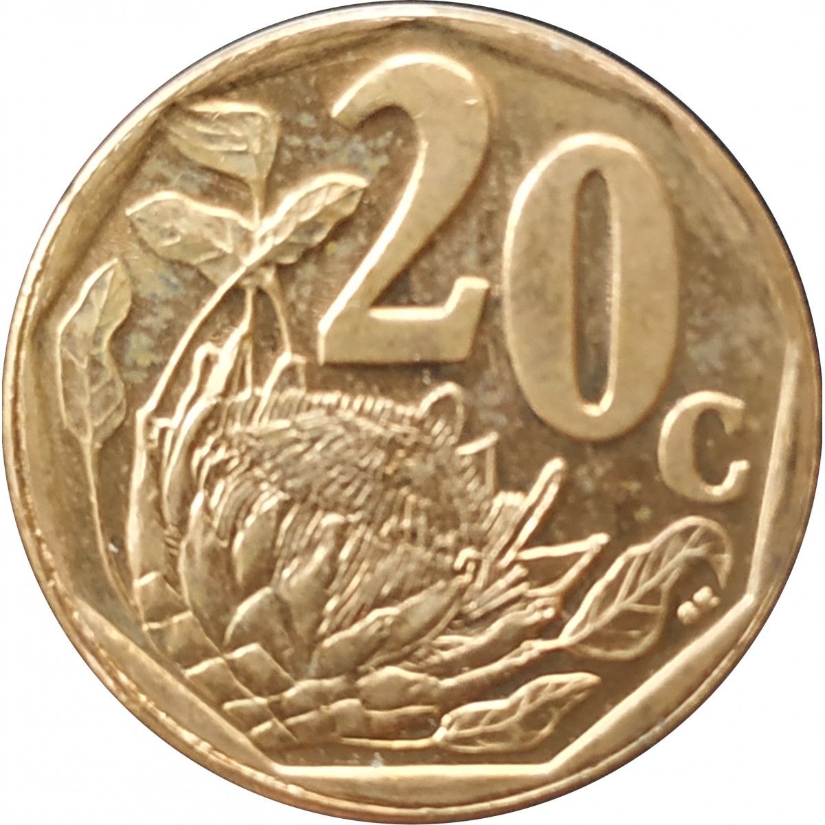 20 центов юар. Монеты африка борва. Юар 20 центов 2010 год. 20 центов 2008 юар. 20 центов юар.