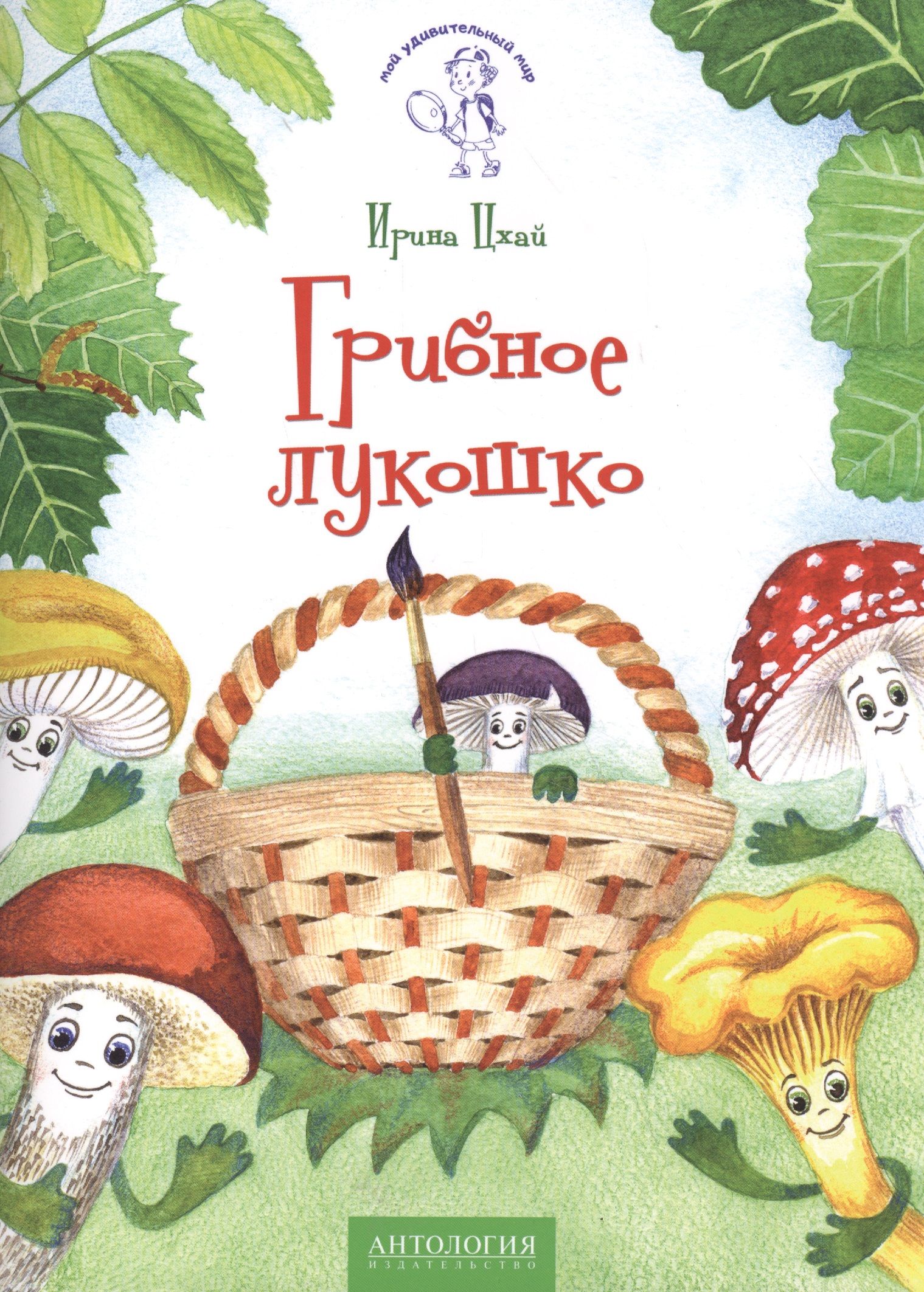 Про грибы для детей. Грибное лукошко Ирина Цхай книга. Берестов грибы. Книги про грибы. Детские книги про грибы.