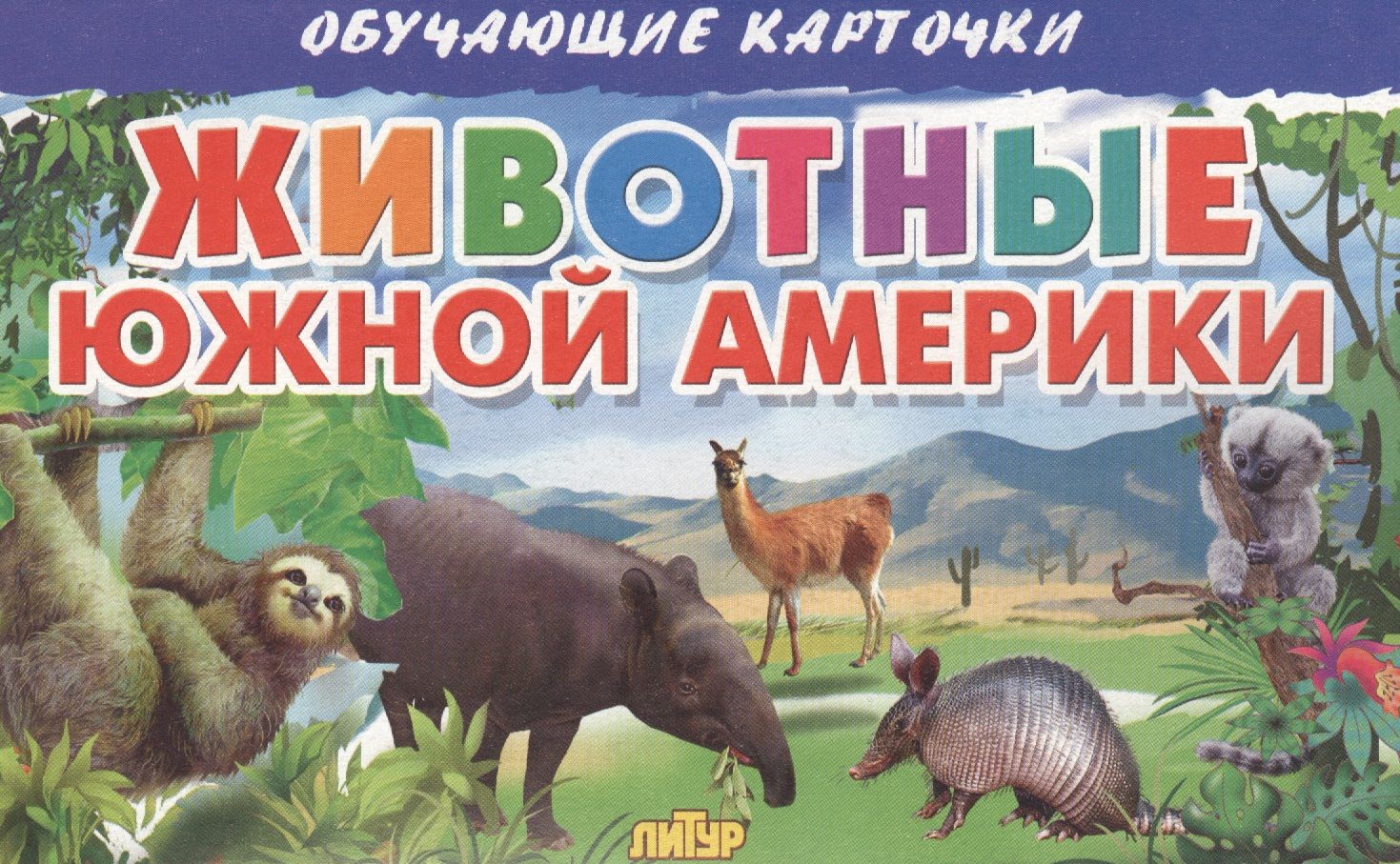 Южная америка животные и растения. Энциклопедия животные Южной Америки. Животные южнойной Америки. Обучающие карточки животные Южной Америки. Животные Южной Америки книга.