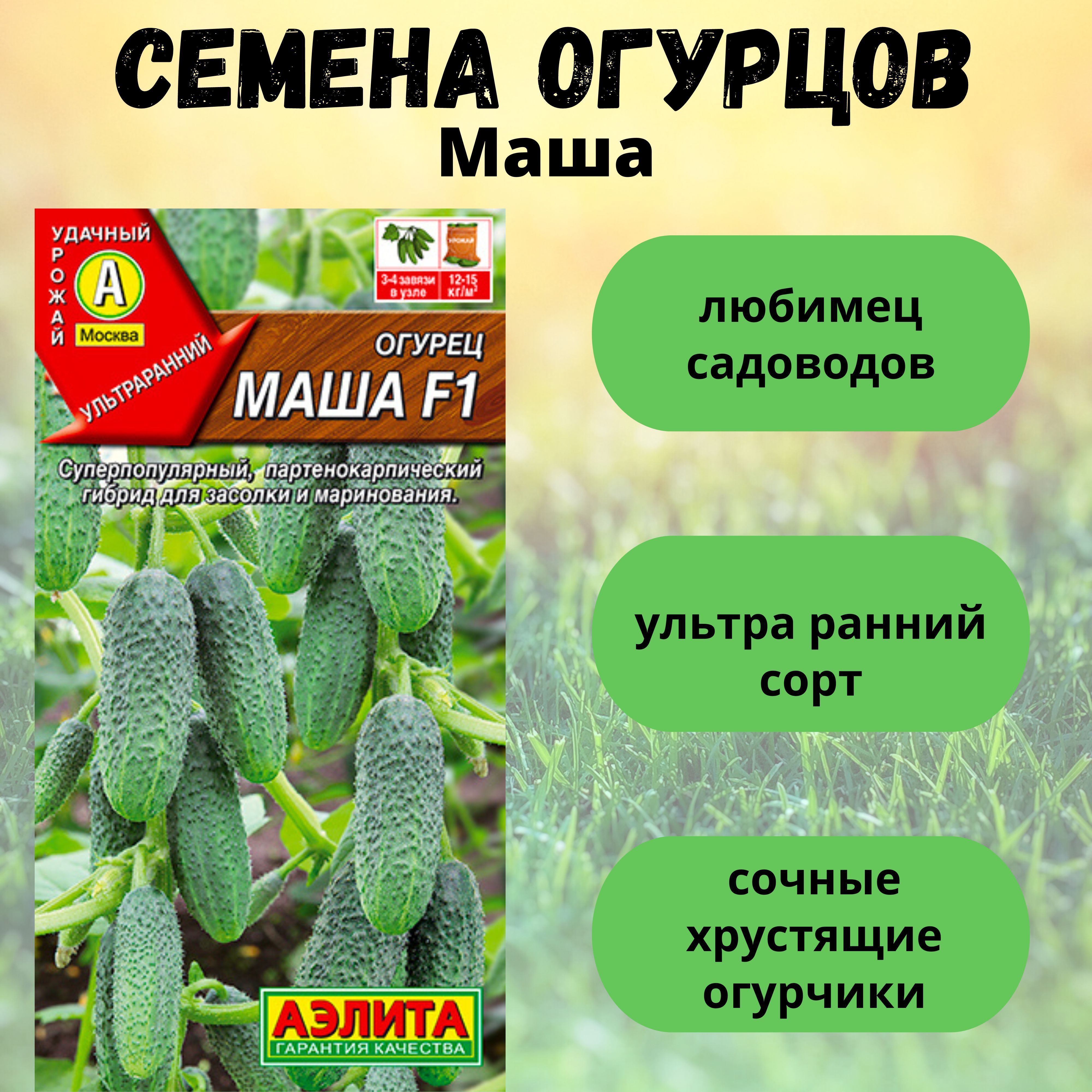 Огурцы Само Совершенство Отзывы Фото