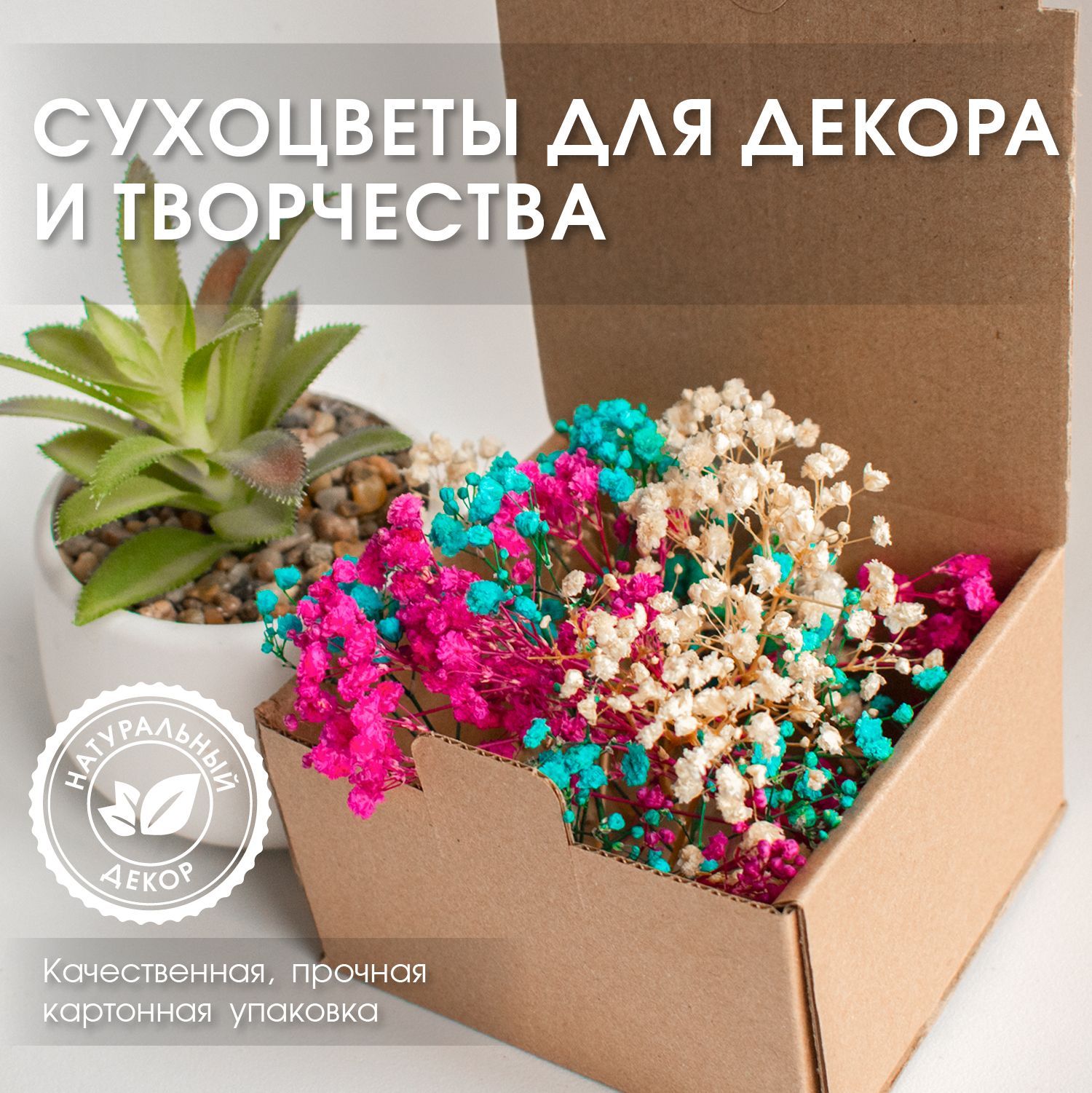 ENiNE decor Сухоцветы Гипсофила, 10 см