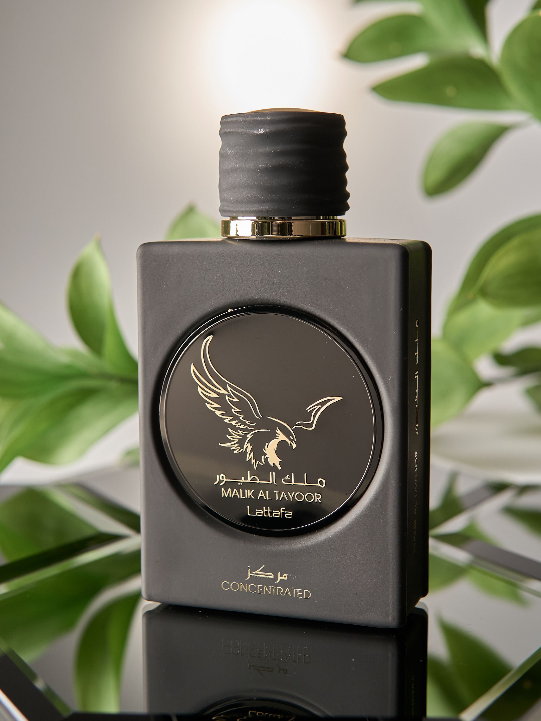 Lattafa Perfumes Lattafa Malik Al Tayoor Concentrated Вода парфюмерная 100  мл (1125038719)