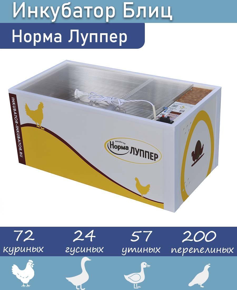 Инкубатор для яиц норма. Норма луппер 72. инкубатор для яиц норма луппер. инкубатор норма луппер на 72 яйца. норма луппер 72 инкубация куриных.