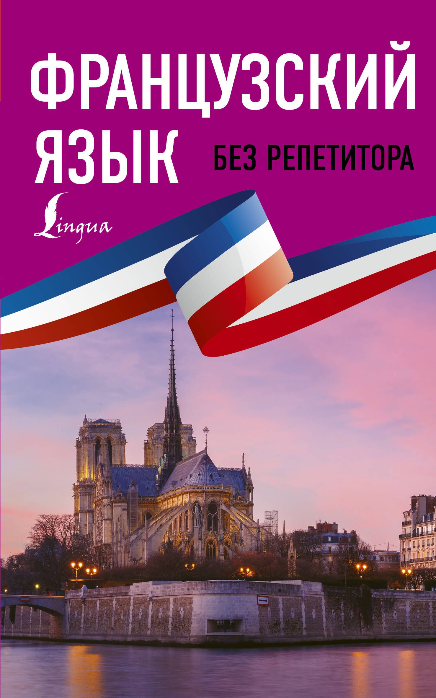 French language. Долгорукова н м французский язык без репетитора. Самоучитель французского языка. Франкский язык. Французский без репетитора самоучитель французского языка.