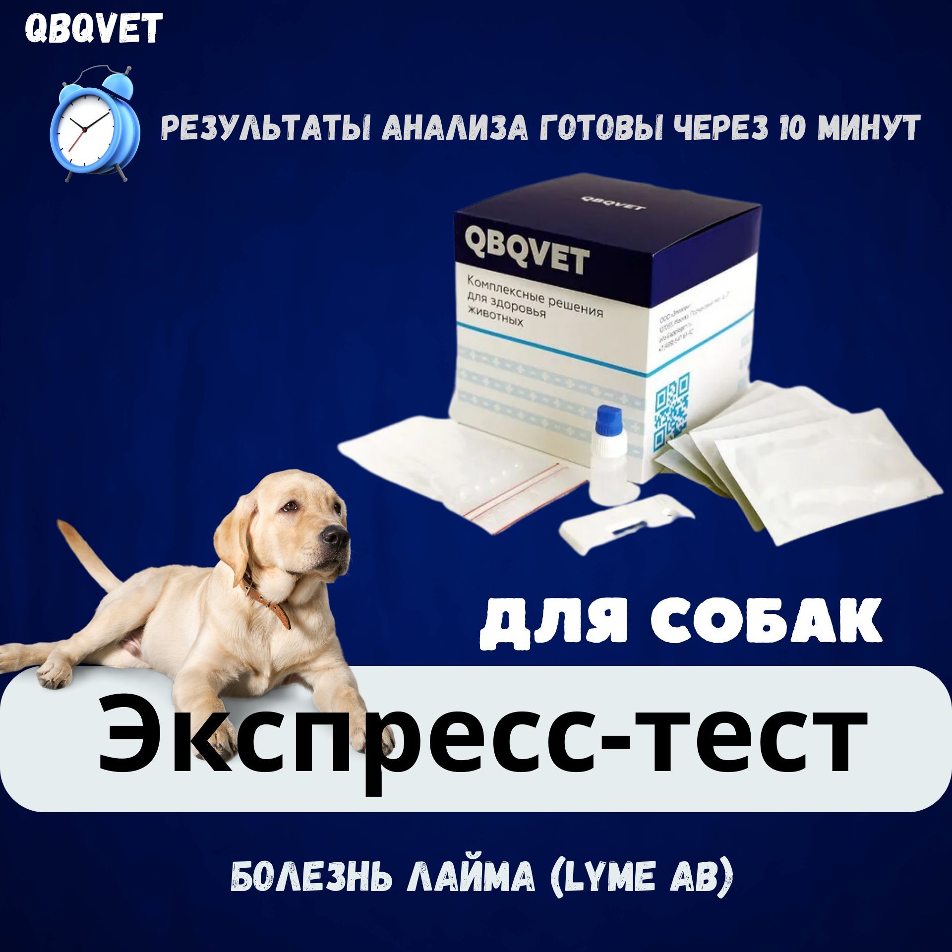 Экспресс-тест QBQVET Болезнь Лайма (Lyme Ab)