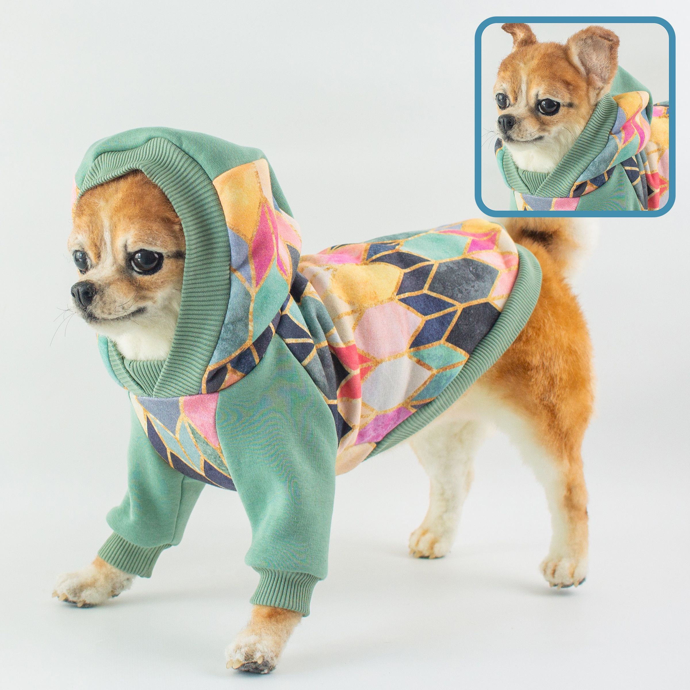 Одежда для китайской хохлатой собаки в интернет магазине. Продажа одежды для китайской хохлатой
