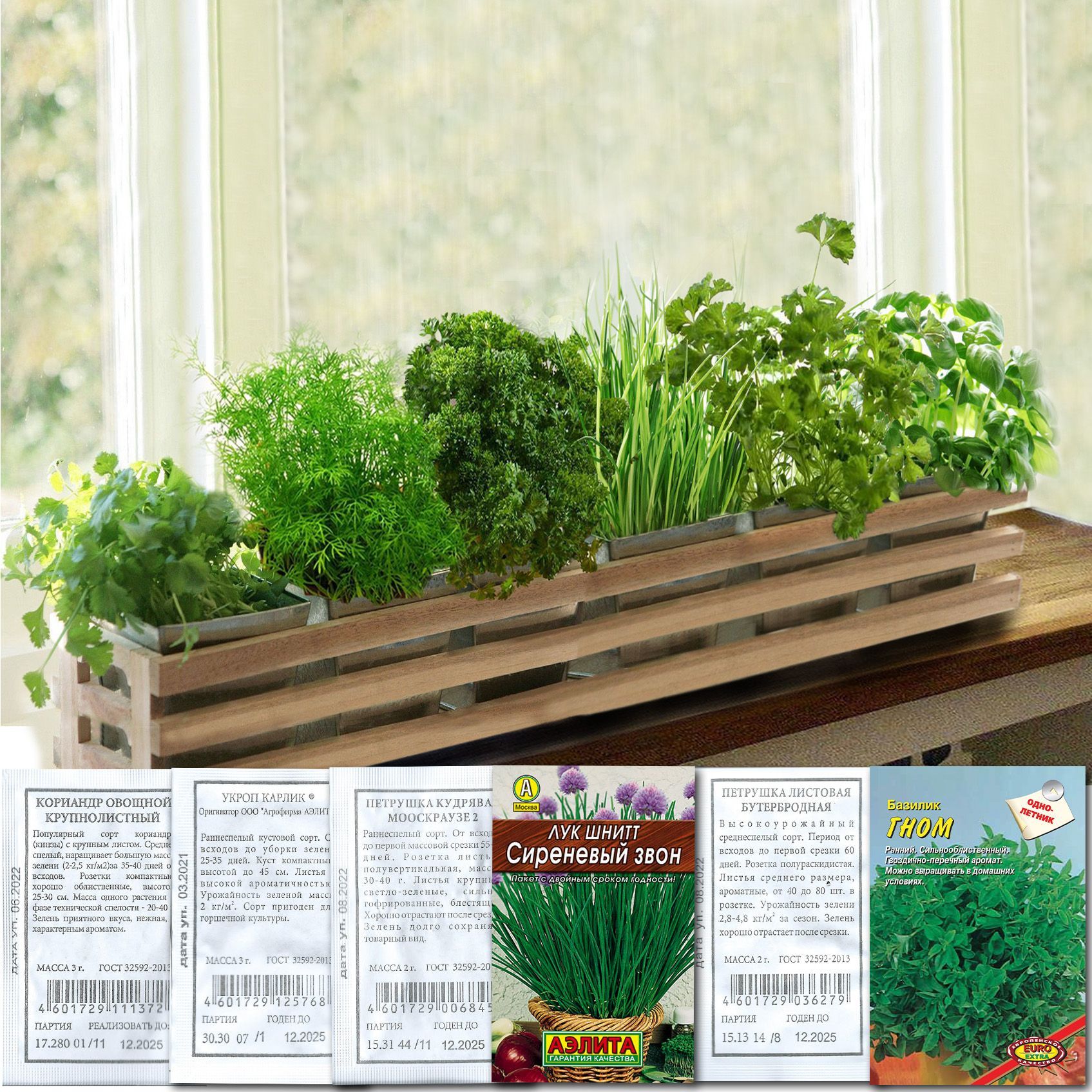 > Какие цветы и растения можно выращивать летом в балконных ящиках?